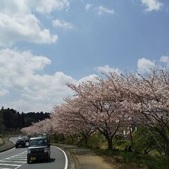 旅行、イベント好きメンバー募集！　青春１８きっぷで行く姫路城　現地集合も歓迎♪ - その他