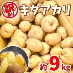 【訳あり野菜】茨城県産　新じゃがいも　キタアカリ　土付き　約9kg