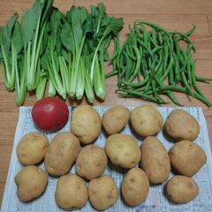 梅雨のお野菜４点