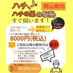 ✨🉐蜂の巣 駆除   🐝スズメバチ🉐キャンペーン¥6500円で駆...