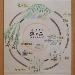 2024年産　広葉樹の薪（生薪）軽トラ1台あたり