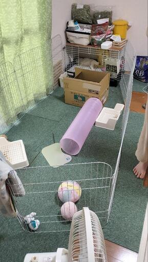 うさぎ飼育用品　一式