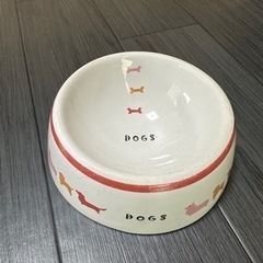 犬、ペット用品　陶磁器のご飯の器