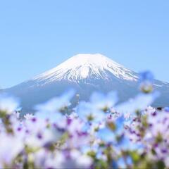 名古屋登山同好会　❝どうする岡崎❞