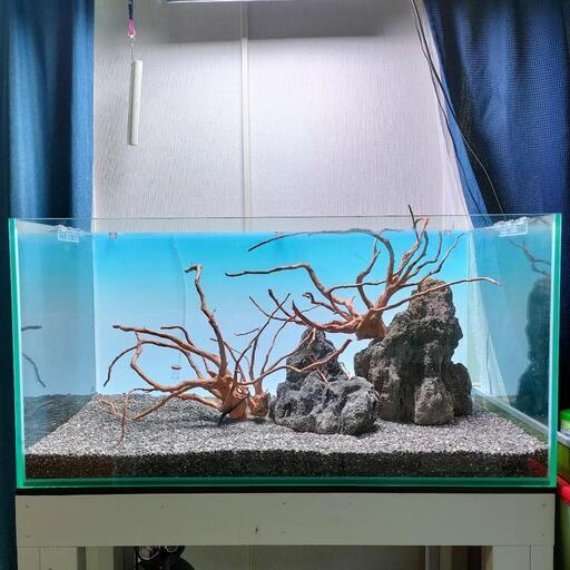 【水槽関連】流木