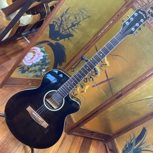 エレアコ　ギター　鹿児島県曽於市手渡しのみ エレアコ ギター 鹿児島県曽於市手渡しのみ