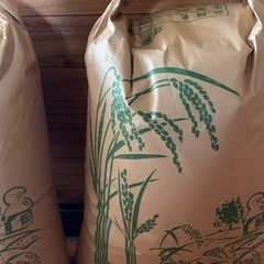 滋賀県北部産　コシヒカリ　農薬不使用　1袋　30kg ７分つき