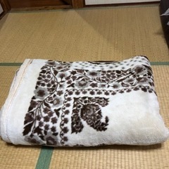毛布(シングルサイズ)
