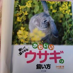 ウサギの飼い方の本