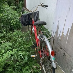 自転車 (無料）