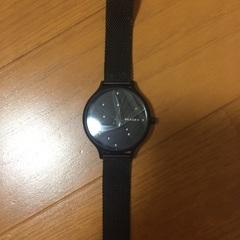 SKAGEN SKW2761