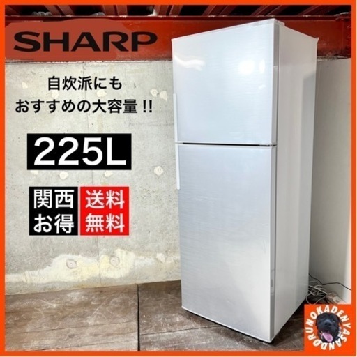 ご成約済 ☑︎配送/設置無料 超目玉 定価半額以下‼️ SHARP 225L 大きめ2ドア冷蔵庫✨