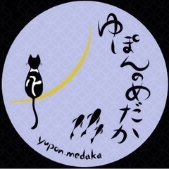 ゆぽんのめだか  6/18幸田筆柿の里　メダカ販売9時〜13時