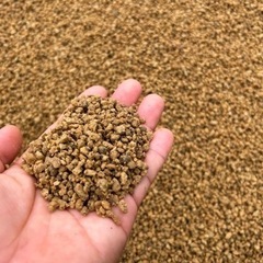 軽石1t売り✨色もカッコいい👍ドライガーデンに