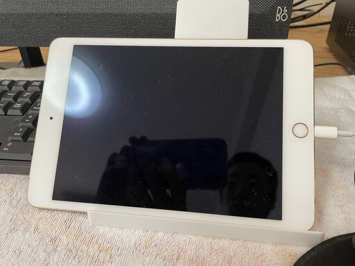 iPad mini4 Cellular 128GB ゴールド MK782J/A6GHz非対応 5GHz対応 LTE