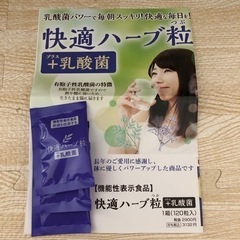 機能性表示食品　快適ハーブ粒➕乳酸菌　12粒