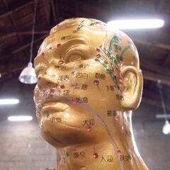 鍼灸 人体模型 天聖銅人 高さ90cm 整体 ツボ 整骨院 人模型 東洋医学 指破損 札幌市東区 新道東店