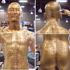 鍼灸 人体模型 天聖銅人 高さ90cm 整体 ツボ 整骨院 人模型