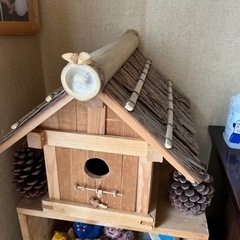 手作りの鳥小屋