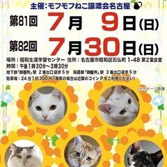 7/30(日)　猫の譲渡会　in　名古屋市昭和生涯学習センター