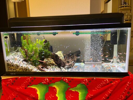 【BBWさま専用】【取りに来ていただける方】90cmスリム水槽＆水槽台&ライト＋ 引取限定 90cm水槽セット 専用水槽台＋蛍光灯ライト ニッソーパラドーム900