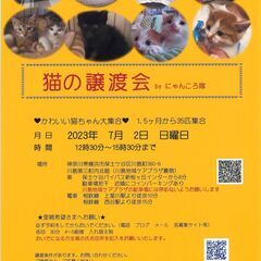 7/2　猫の譲渡会　by にゃんころ隊の画像