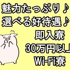 軽作業Staff｜良品/不良品の検査判別｜寮費0円