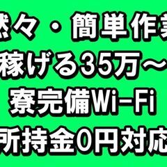 手の平サイズ不良品選別｜作業環境安定｜所持金なし可