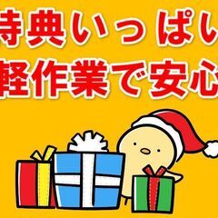 手の平サイズ不良品選別｜研修制度ばっちり｜寮費負担なし