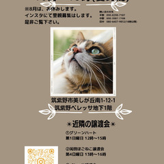 ベレッサ保護猫譲渡会