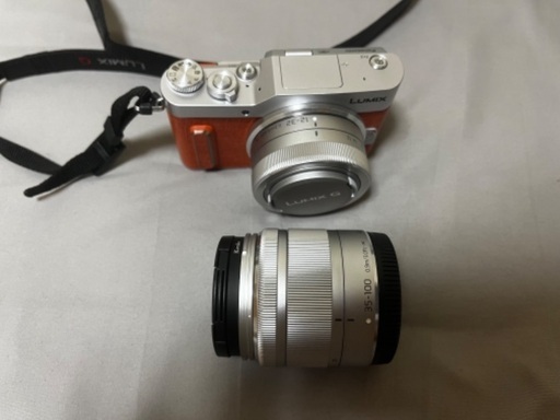 Panasonic LUMIX GF10 | pcmlawoffices.com