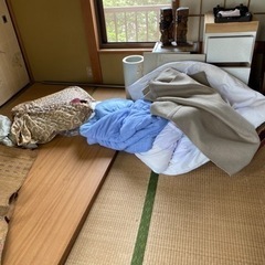 今から有料で畳、布団引き取って頂けますか？
