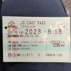 JR 東日本 乗り放題チケット 新幹線指定席を含む(6/18まで)
