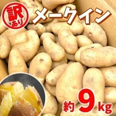 【訳あり野菜】茨城県産　新じゃがいも　メークイン　土付き　約9kg