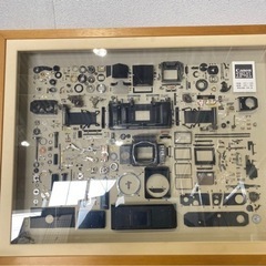 カメラ　コレクション　分解品 Canon F-1