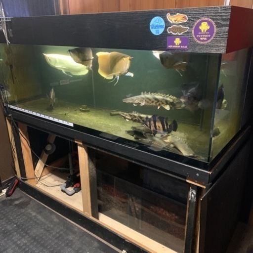 1800水槽　セット