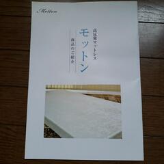 モットン腰痛マット　140N