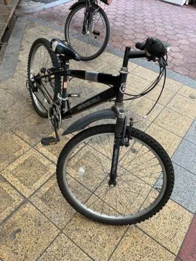 アメリカンイーグル 6 AMERICAN EAGLE アメリカンイーグル マウンテン