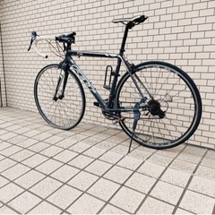 【引き取り限定】フェルトF95