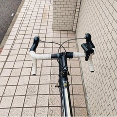 【引き取り限定】フェルトF95