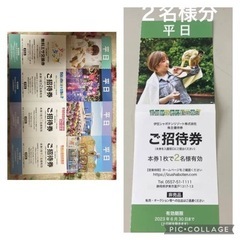 伊豆　各施設無料入園券　6月中　買って下さい