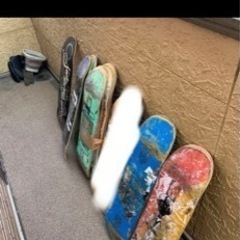 skateboard 板 複数枚