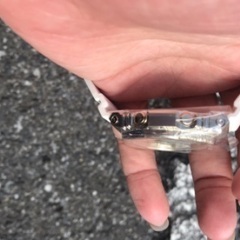 新品未使用　G-SHOCK GM-S2140GEM-9AJR