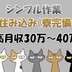 手の平サイズ不良品選別｜製造スタッフ｜即入居OK