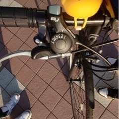 NEXTYLE(ネクスタイル) NX-7021 クロスバイク 自転車 700C 21段変速 前後フェンダー