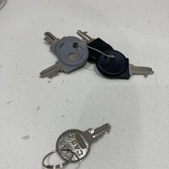 CASIO レジスター NL-300