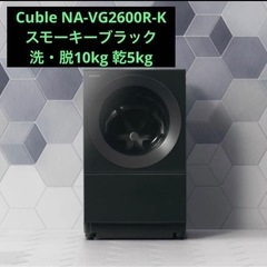 2022年製 PanasonicパナソニックCuble キューブルNA-VG2600R-K 