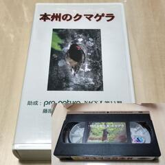 【大館自然の会】貴重VHS『本州のクマゲラ』【本州産クマゲラ研究会】
