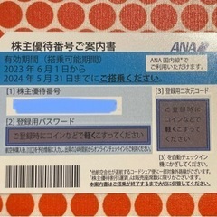 【ネット決済・配送可】ANA 株主優待番号　ご案内書