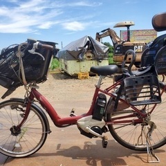 スタイルズ(STYLES) ET2990番 電動自転車 | www.solusoftng.com